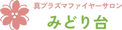 真プラズマファイヤーサロンみどり台